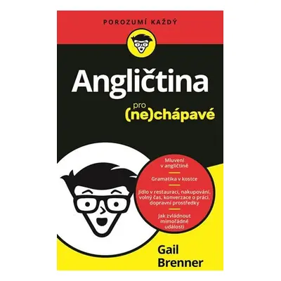 Angličtina pro nechápavé - Gail Brenner