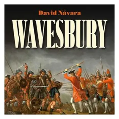 Wavesbury - CDmp3 - David Návara