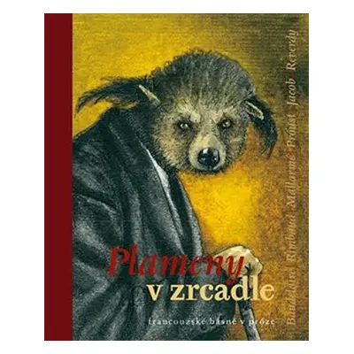 Plameny v zrcadle - Helena Wernischová