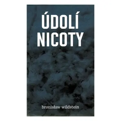 Údolí nicoty - Bronislav Wildstein