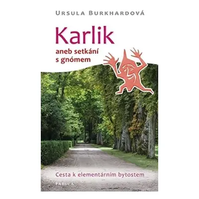 Karlik aneb setkání s gnómem - Ursula Burkhardová