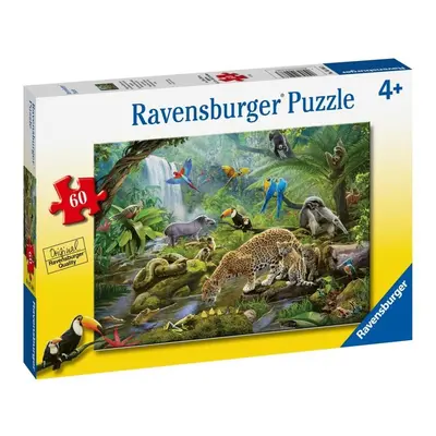 Ravensburger Puzzle - Obdivovatelé deštného pralesa 60 dílků