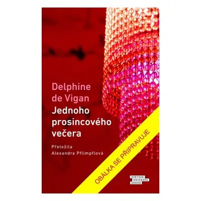 Jednoho prosincového večera - Delphine de Vigan