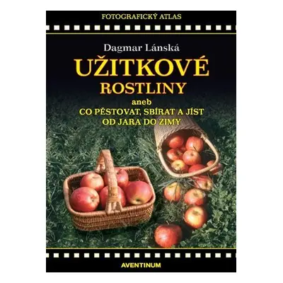 Užitkové rostliny aneb Co pěstovat, sbírat a jíst od jara do zimy - Dagmar Lanská