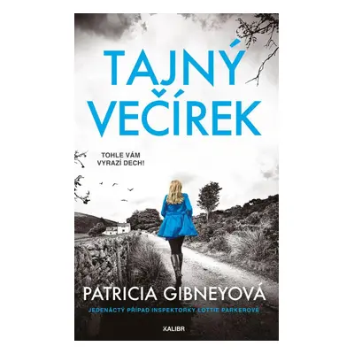 Tajný večírek - Patricia Gibneyová