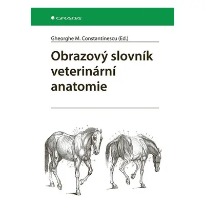 Obrazový slovník veterinární anatomie - M. Gheorghe Constantinescu