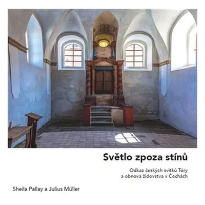 Světlo zpoza stínů - Sheila Pallay