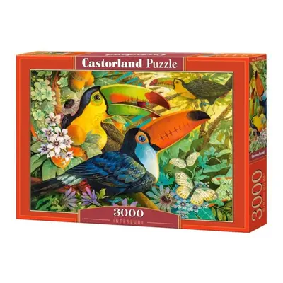 Castorland Puzzle - Tukani 3000 dílkú