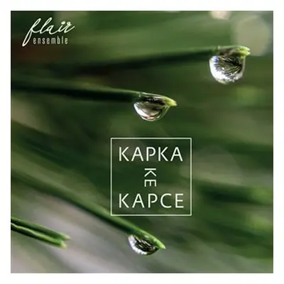 Kapka ke kapce - CD - Jan Rokyta