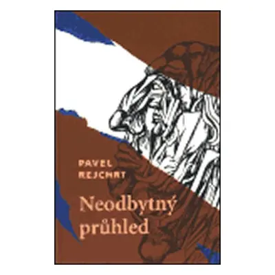 Neodbytný průhled - Pavel Rejchrt