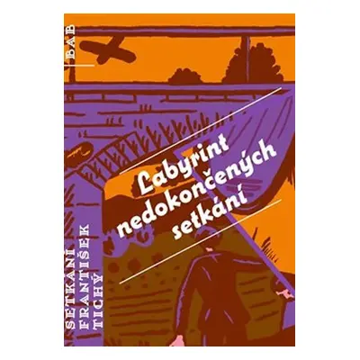 Labyrint nedokončených setkání - František Tichý