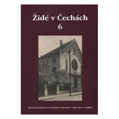 Židé v Čechách 6 - Sborník příspěvků ze semináře konaného v říjnu 2016 v Kodani - Kolektiv autor