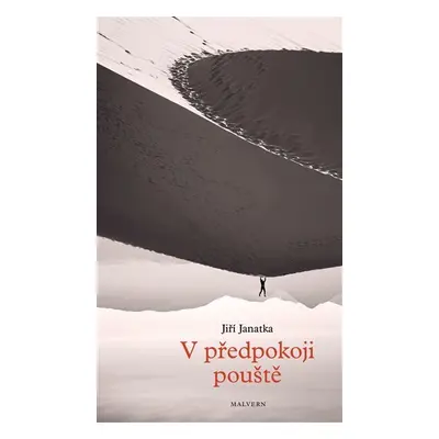 V předpokoji pouště - Jiří Janatka