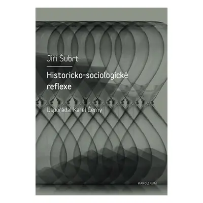 Historicko-sociologické reflexe - Jiří Šubrt