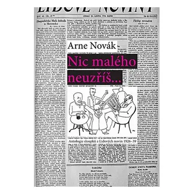 Nic malého neuzříš... Antologie sloupků z Lidových novin 1926-39 - Arne Novák