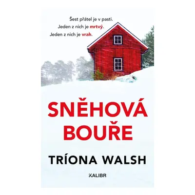 Sněhová bouře - Tríona Walsh