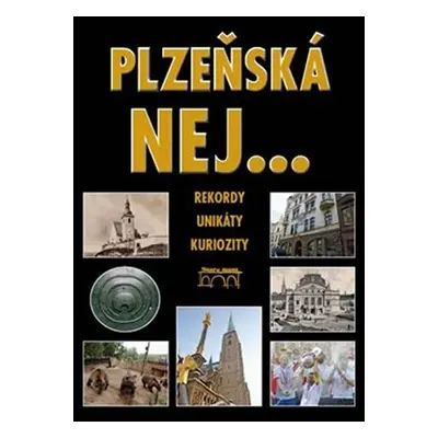 Plzeňská nej… - Petr Flachs