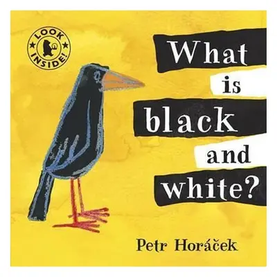 What Is Black and White - Petr Horáček