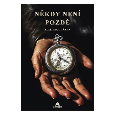 Někdy není pozdě - Aleš Procházka