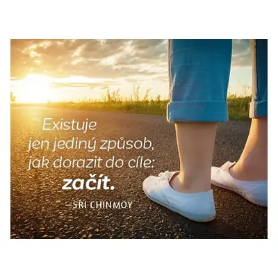 Magnet na lednici - Existuje jen jediný způsob, jak dorazit do cíle: začít. - Sri Chinmoy