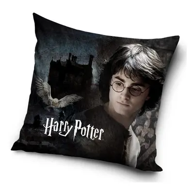 Polštářek Harry Potter V tajemných Bradavicích