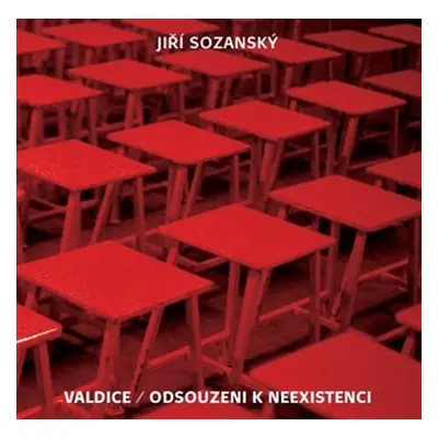 Valdice - Odsouzeni k neexistenci - Jiří Sozanský