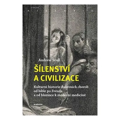 Šílenství a civilizace - Kulturní historie duševních chorob od bible po Freuda a od blázince k m