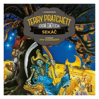 Sekáč - Úžasná zeměplocha - 2 CD (Čte Jan Vondráček) - Terry Pratchett