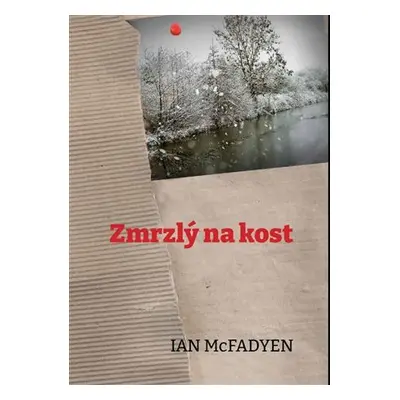 Zmrzlý na kost - Ian McFadyen