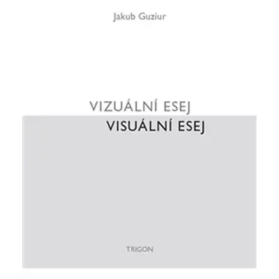 Vizuální esej / Visuální esej - Jakub Guziur