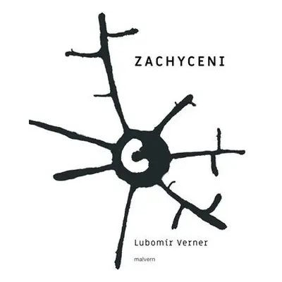 Zachyceni - Lubomír Verner