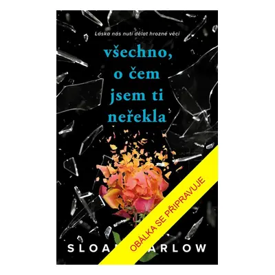 Všechno, o čem jsem ti neřekla - Sloan Harlow