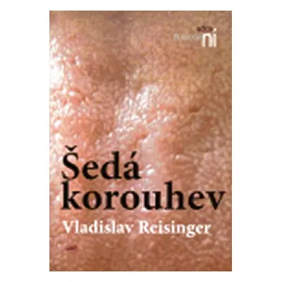 Šedá korouhev - Vladislav Reisinger