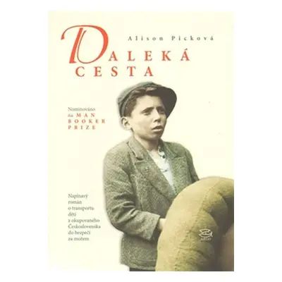 Daleká cesta - Alison Pick