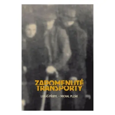 Zapomenuté transporty - Michal Plzák