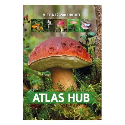 Atlas hub - Více než 200 druhů - Patrycja Zarawska