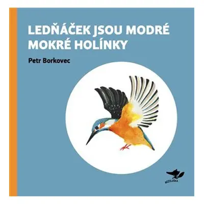 Lednáček jsou modré mokré holínky - Petr Borkovec