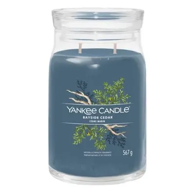 YANKEE CANDLE Bayside Cedar svíčka 567g / 2 knoty (Signature velký)