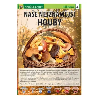 Naše nejznámější houby - Naučné karty