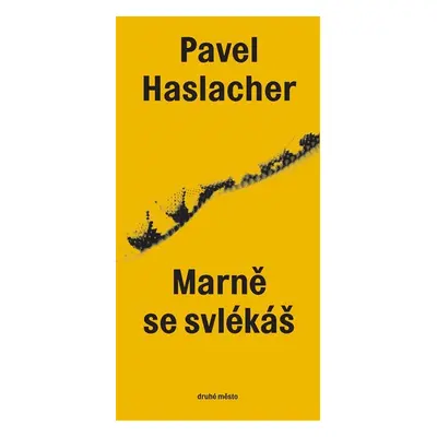 Marně se svlékáš - Pavel Haslacher