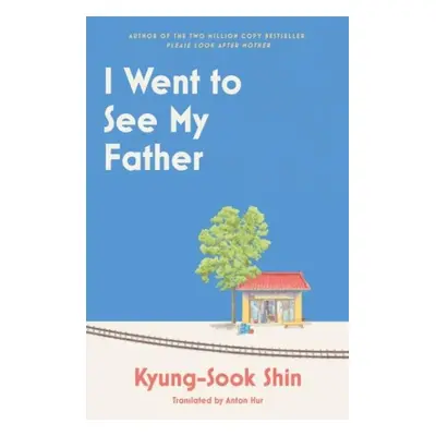 I Went to See My Father - Shin Kyung-sook