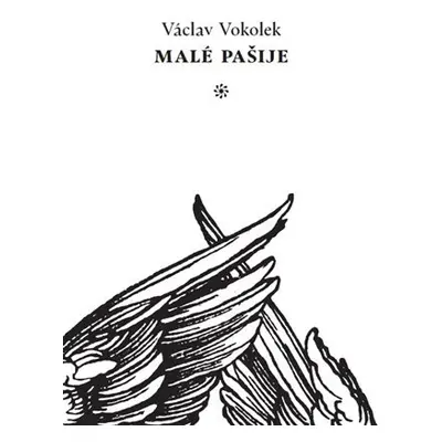 Malé pašije - Václav Vokolek