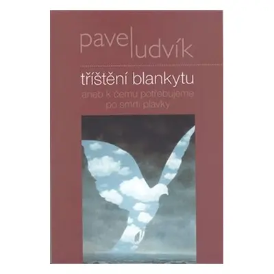 Tříštění blankytu aneb k čemu potřebujeme po smrti plavky - Pavel Ludvík