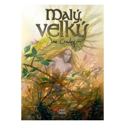 Malý, velký - John Crowley