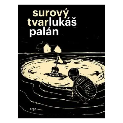 Surový tvar - Lukáš Palán