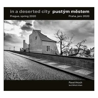 Pustým městem / In a Deserted City - Pavel Hroch