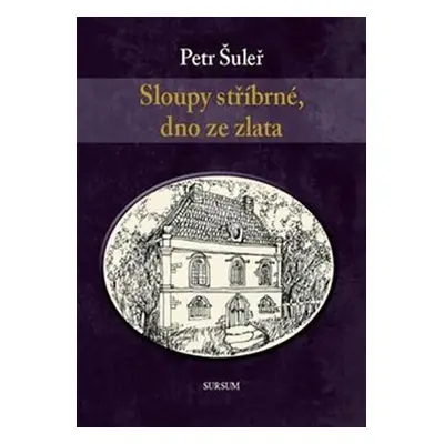 Sloupy stříbrné, dno ze zlata - Petr Šuleř