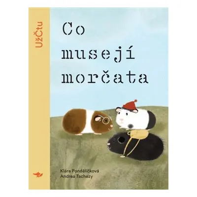 Co musejí morčata, 2. vydání - Klára Pondělíčková