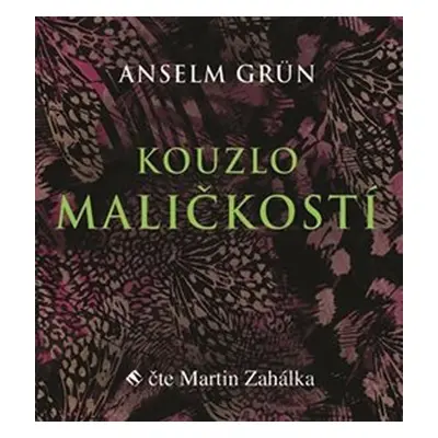 Kouzlo maličkostí - Radost z maličkosti všedního dnes je základem naplněného života - - CDmp3 (