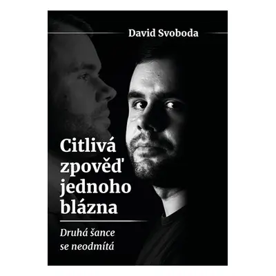 Citlivá zpověď jednoho blázna - Druhá šance se neodmítá - David Svoboda